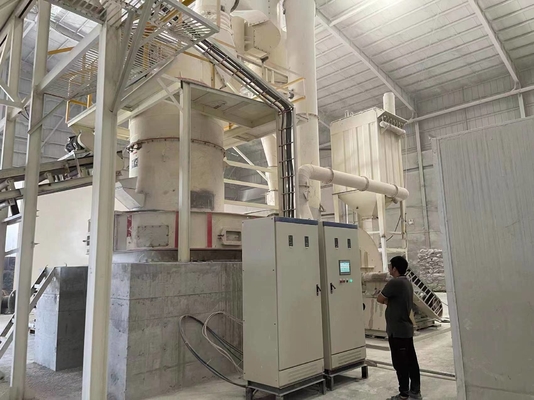 3r 4r 5r Moulin de meulage de Raymond au gypse de calcaire à vitesse de rotation de 17 à 19 r/min